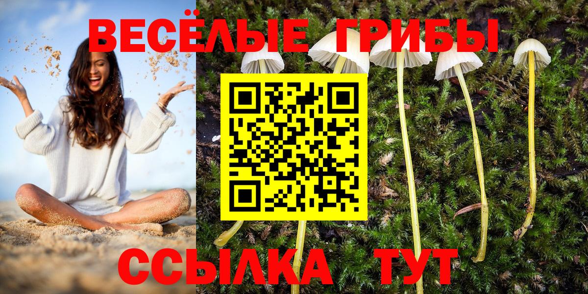 Галлюциногенные грибы мицелий  цена   Тихвин  Вход с VPN 